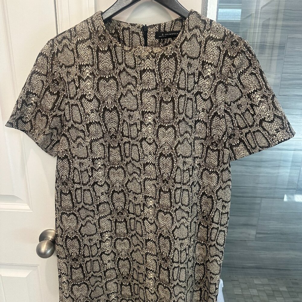 Zara Women's Business Dress